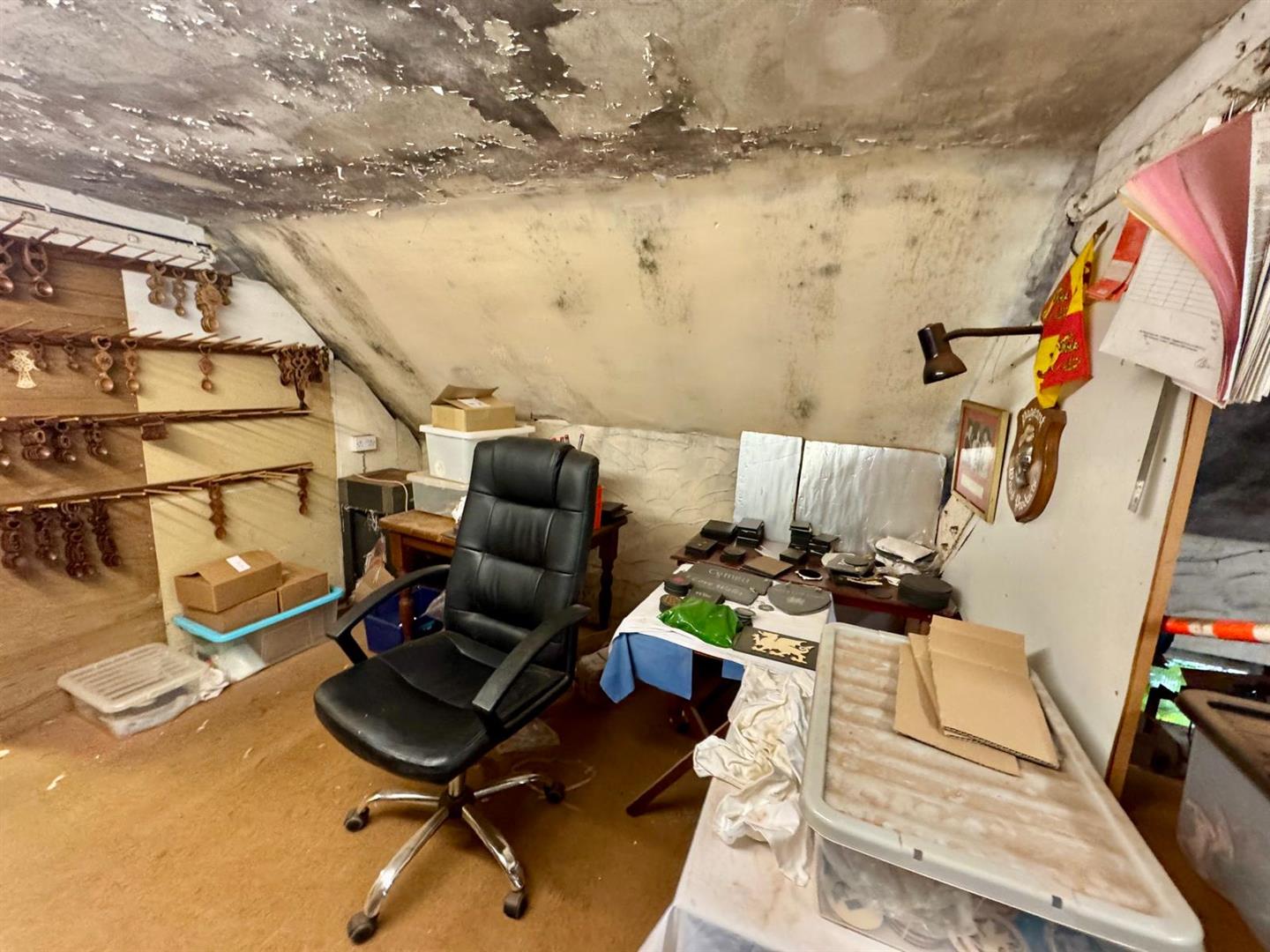 PHOTO-2025-10-20-17-47-12 (6).jpg